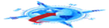 Brizo Global Logistics Pvt. Ltd